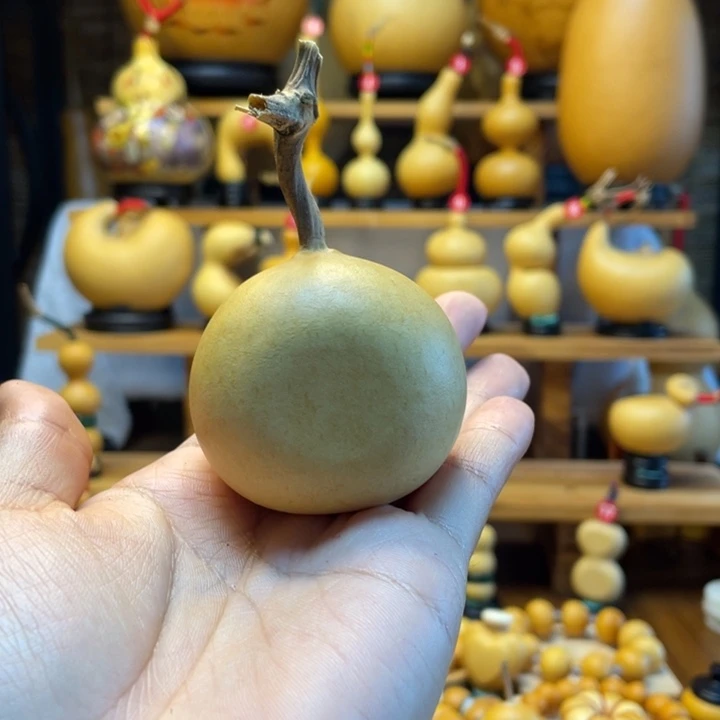 初***初天然葫芦自然生长