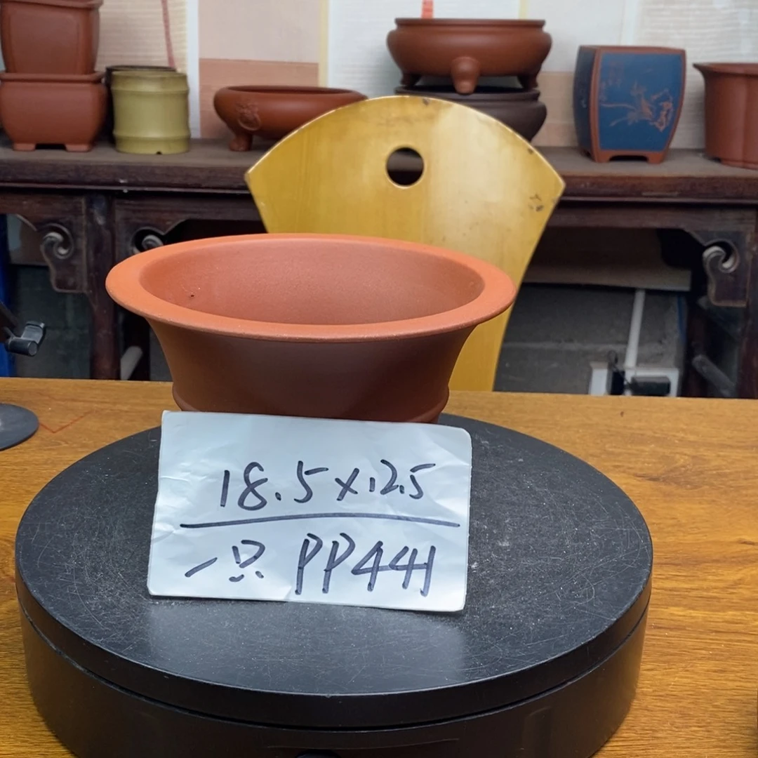 红陶货号一只PP441