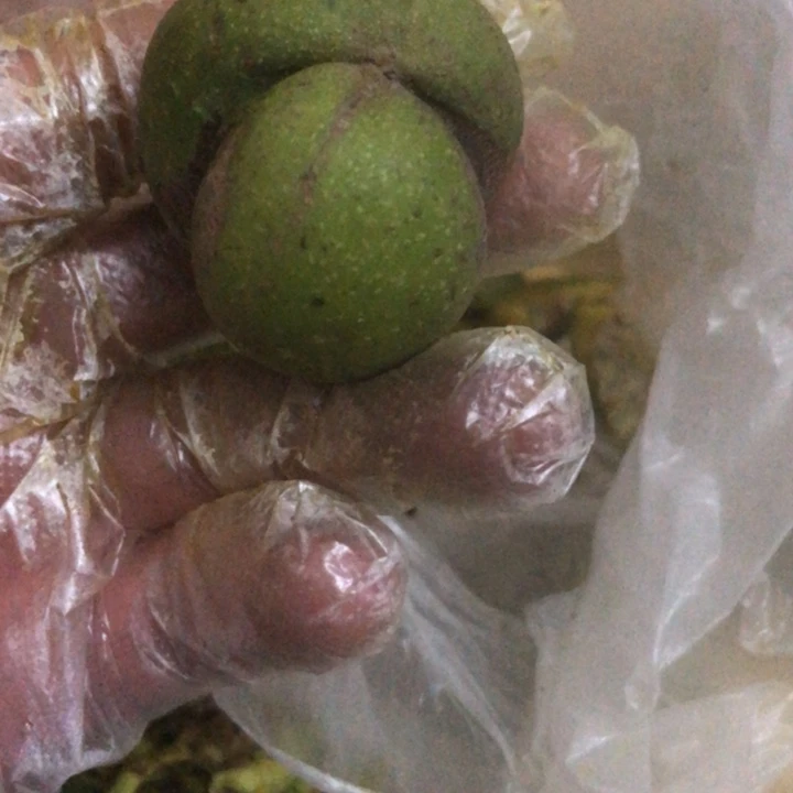 鲜****u文玩核桃宫灯异形
