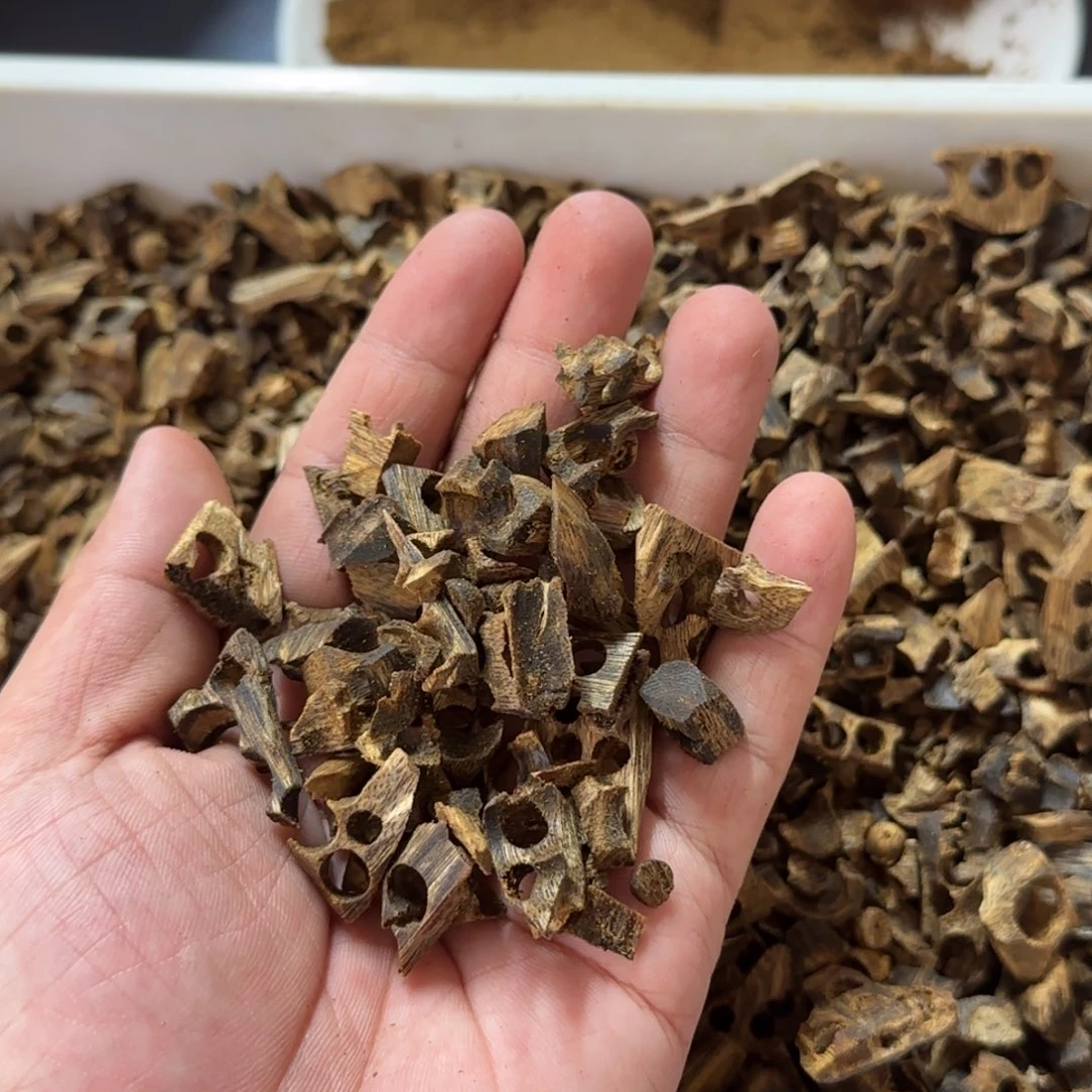 木榴****⁰白奇楠转孔车珠料50克