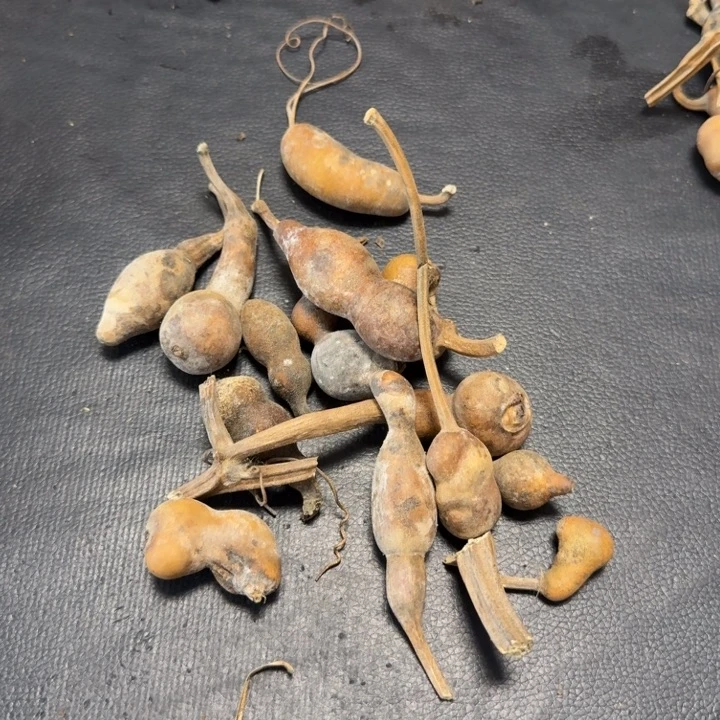 富****666666677777788hhhu