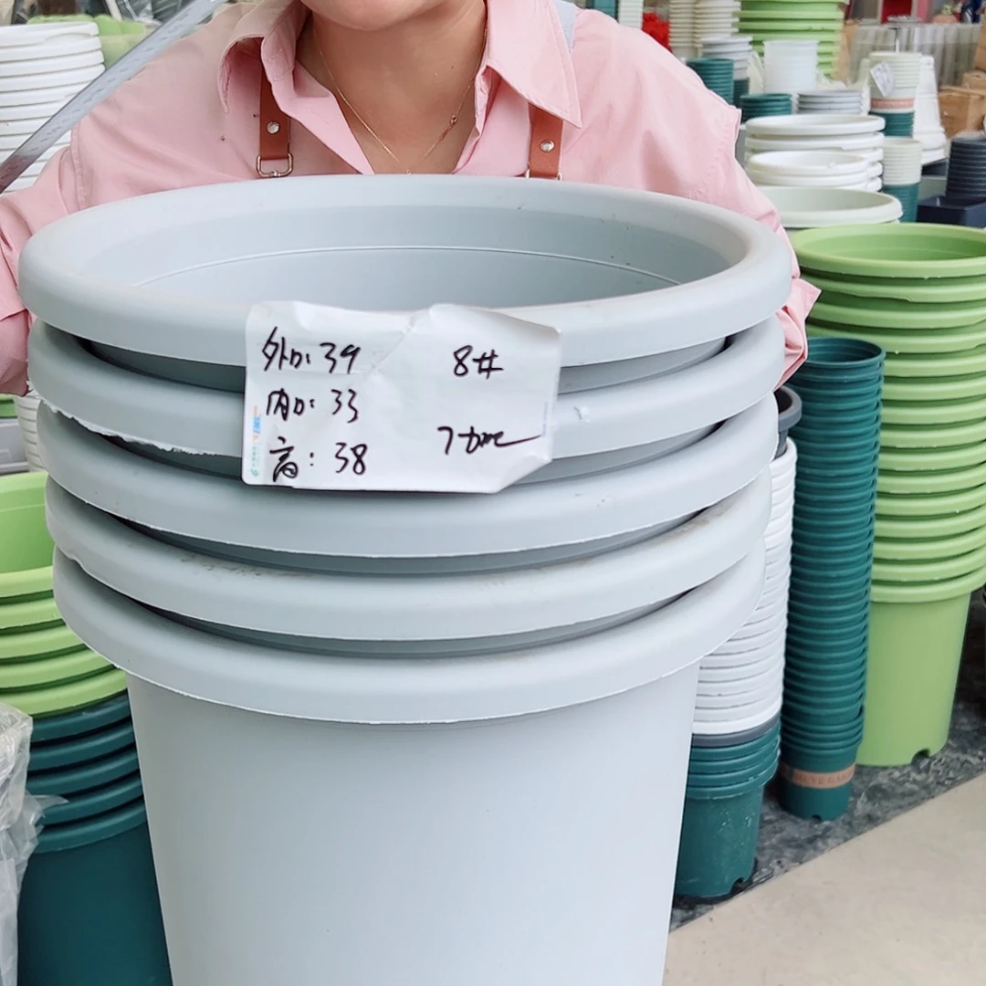 四季盆8#灰白色5个无托