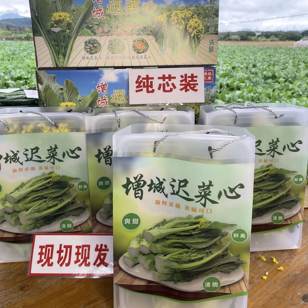 纯芯装增城迟菜心礼盒装30~35cm