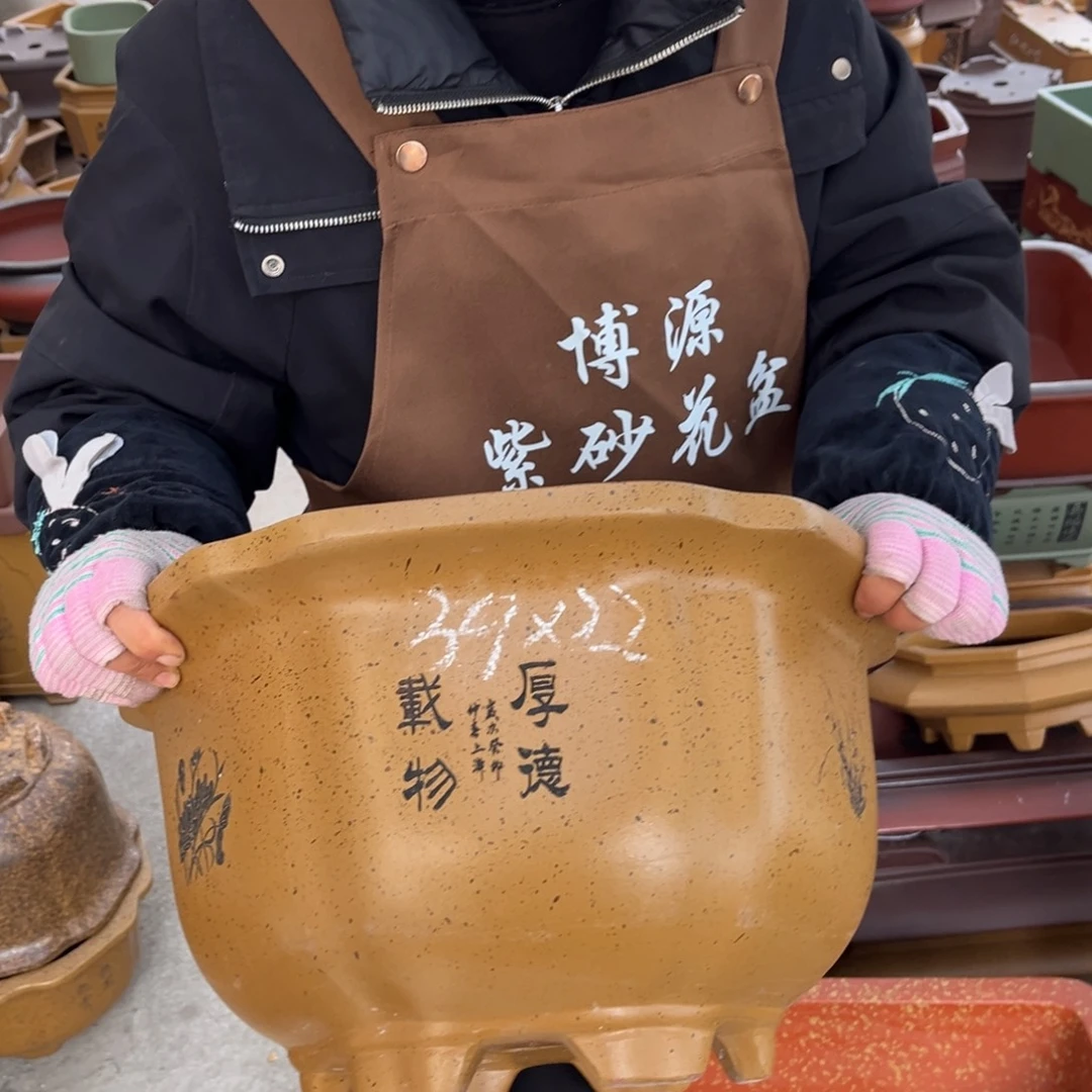 花盆紫砂盆景艺术