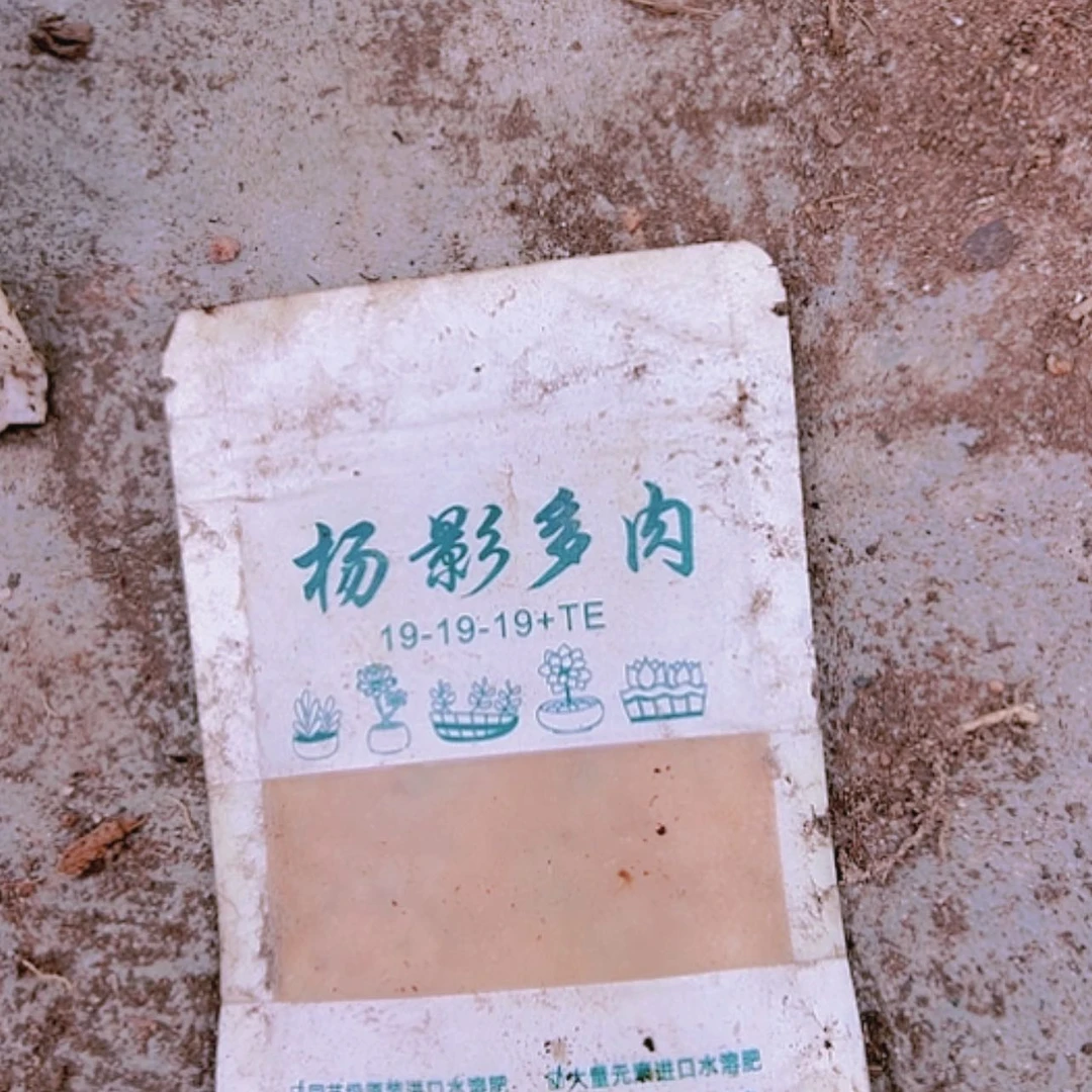 【闪购商品】实验包2包