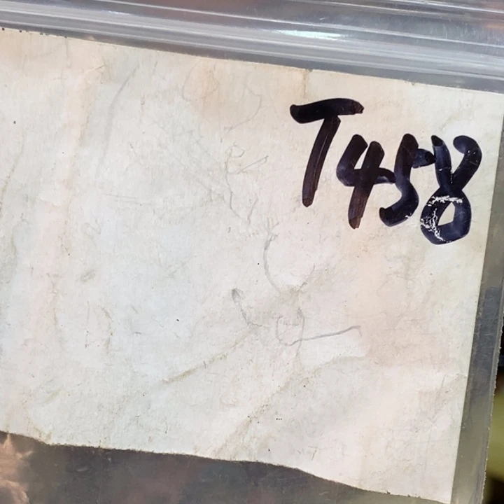 云***飞七九二三杂项文玩直播间专属链接