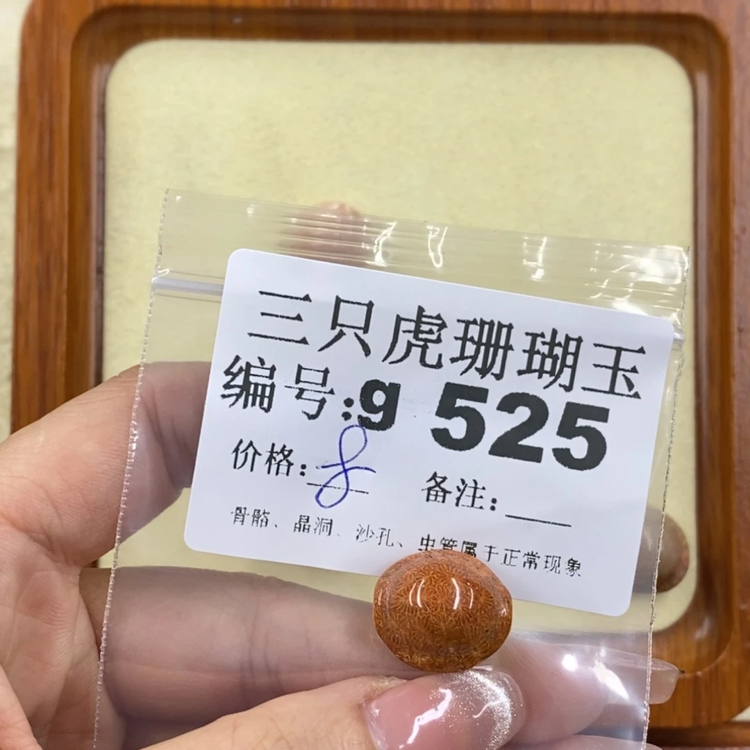 硅化珊瑚（珊瑚玉）未镶嵌1图*