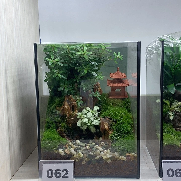 无花朵62号微景观