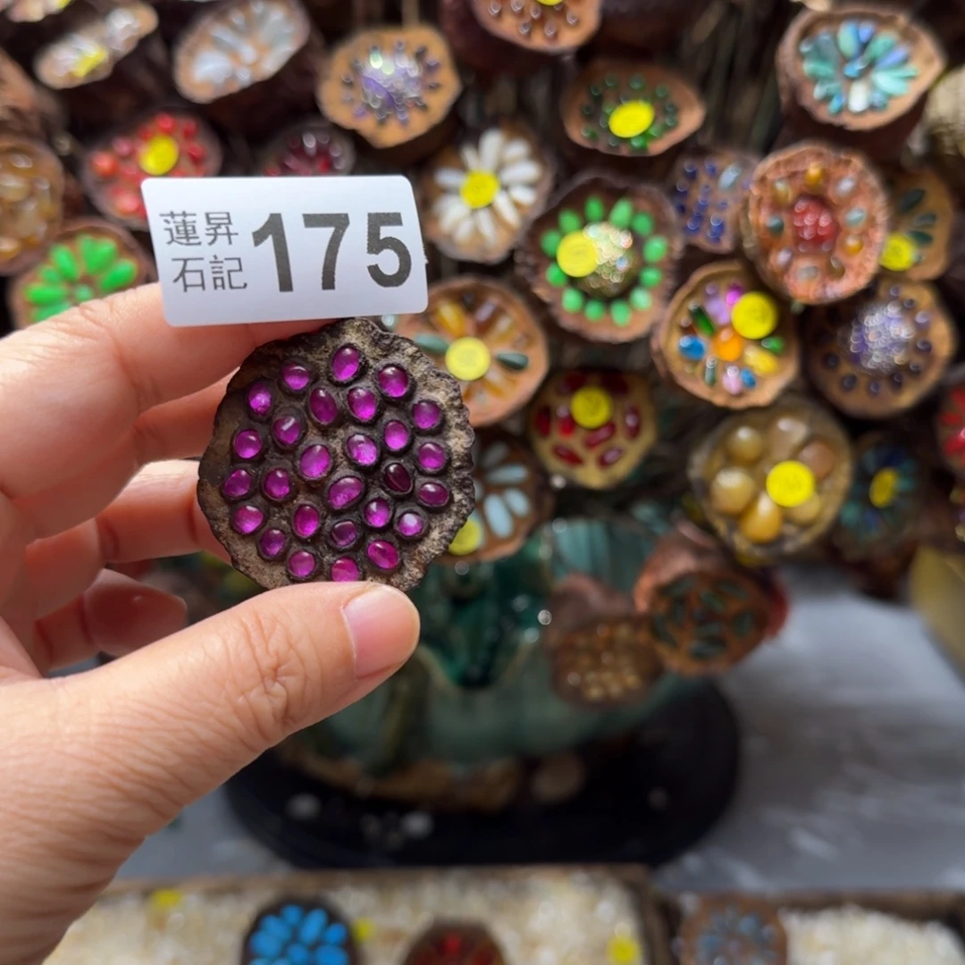 糖***猫核桃木/黑胡桃（胡桃木）175