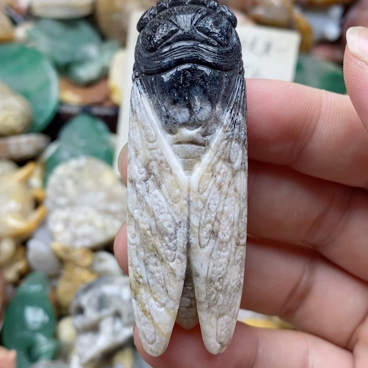 硅化珊瑚（珊瑚玉）未镶嵌颈饰