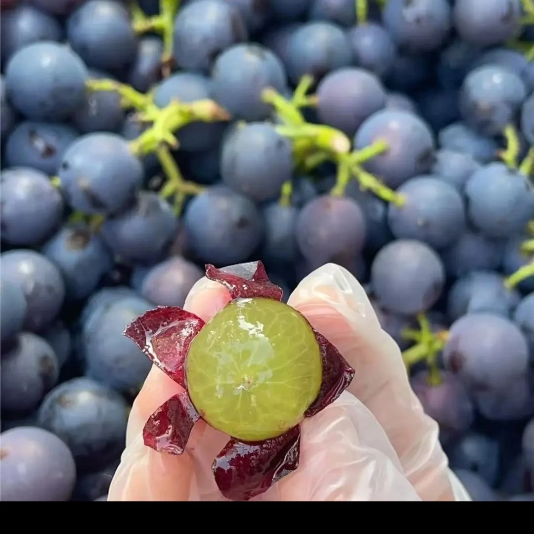 《直播间一物一拍》葡萄树苗南北方抗寒结果