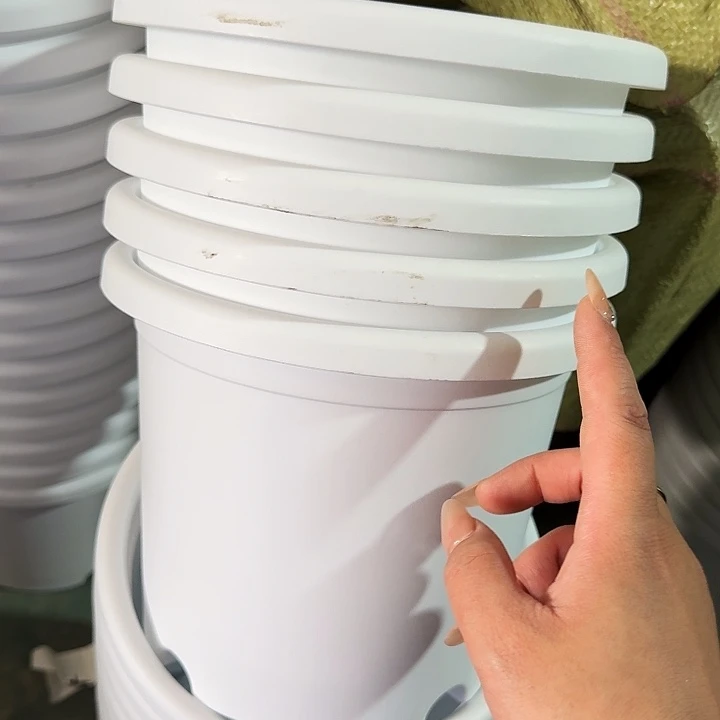 微瑕3#白色10个无托