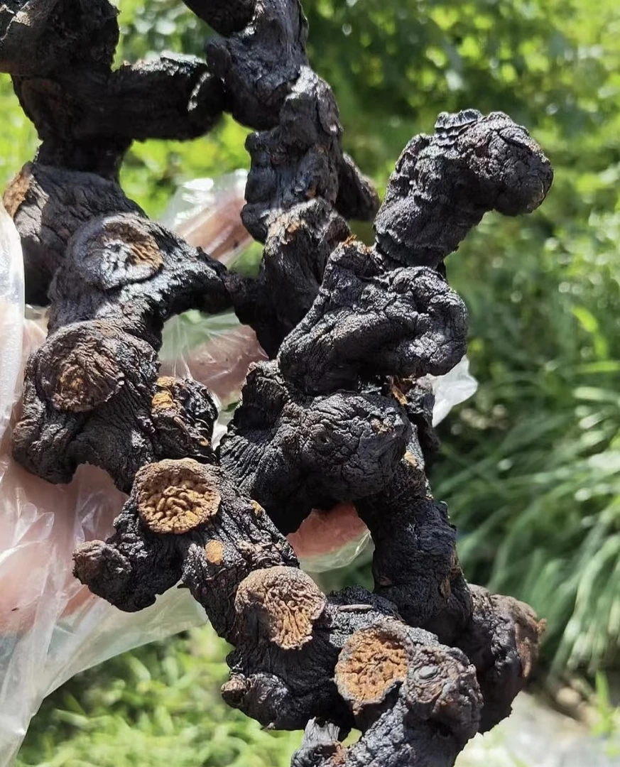 九蒸九晒：干净无沙 可搭配熟地3