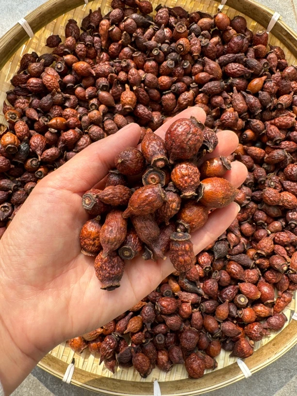 农村土特产自采金樱子250克500克泡酒煮水