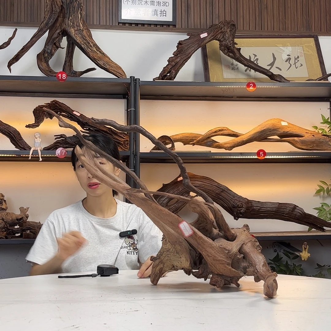 A***洋尺寸，56.44.