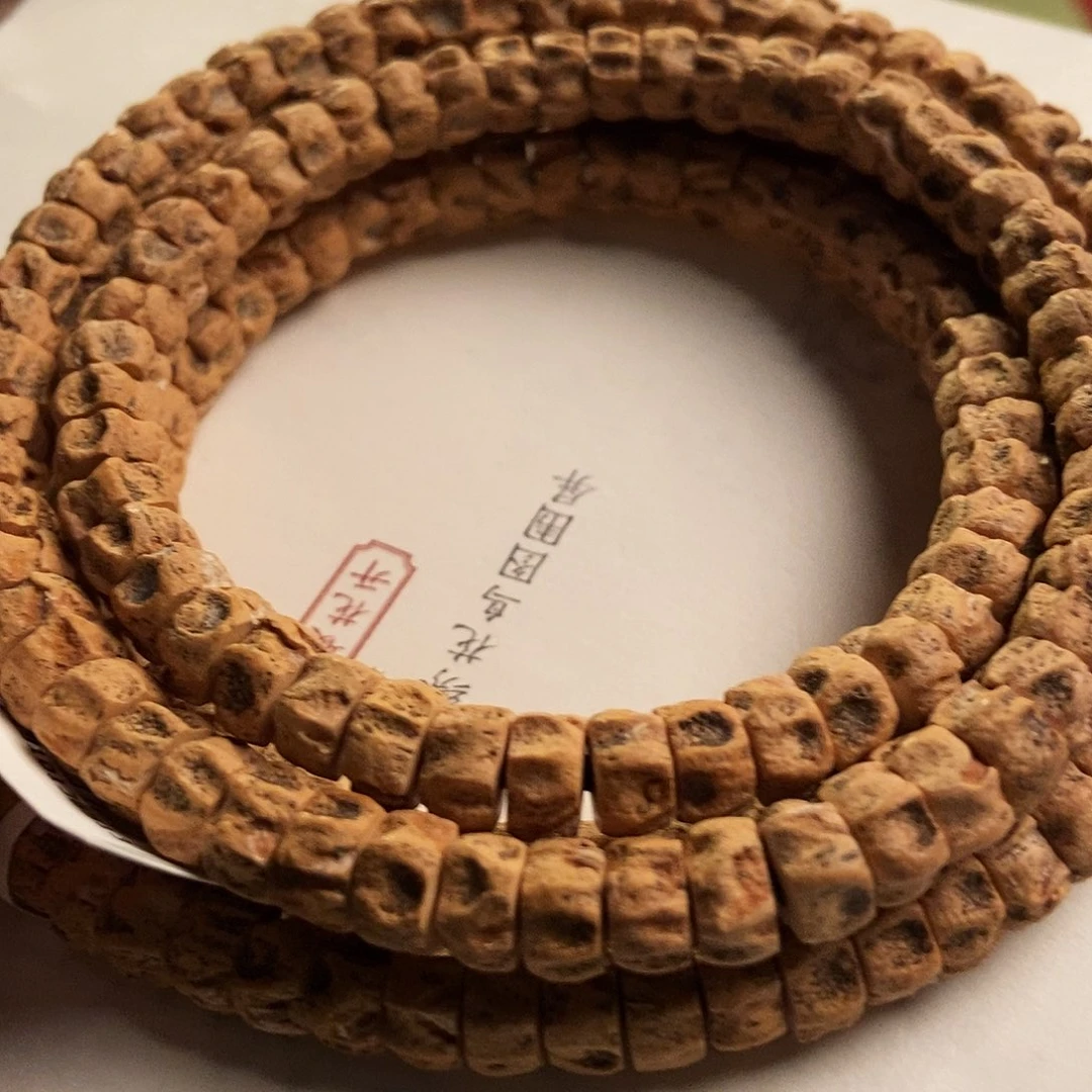 吊坠柏香籽/百香籽F611