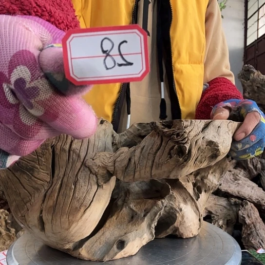 【****地紫砂噜啦啦啦啦啦啦