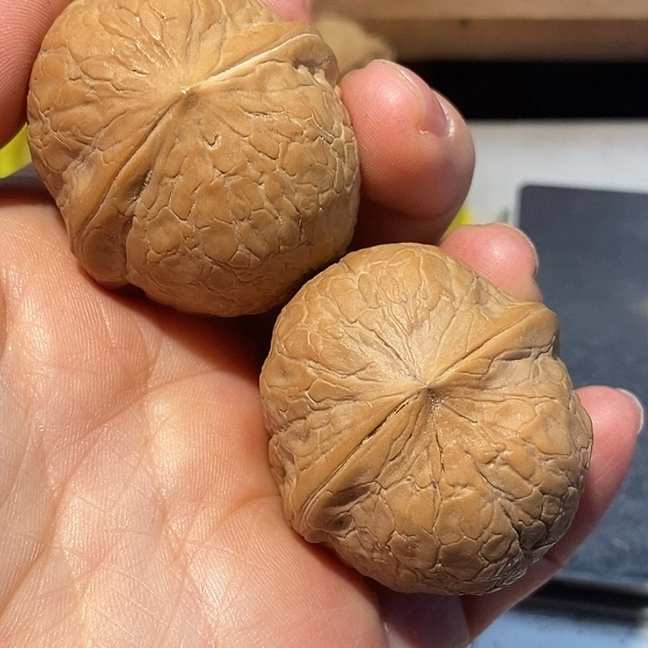 把件文玩核桃76¥7）hhuhhhh