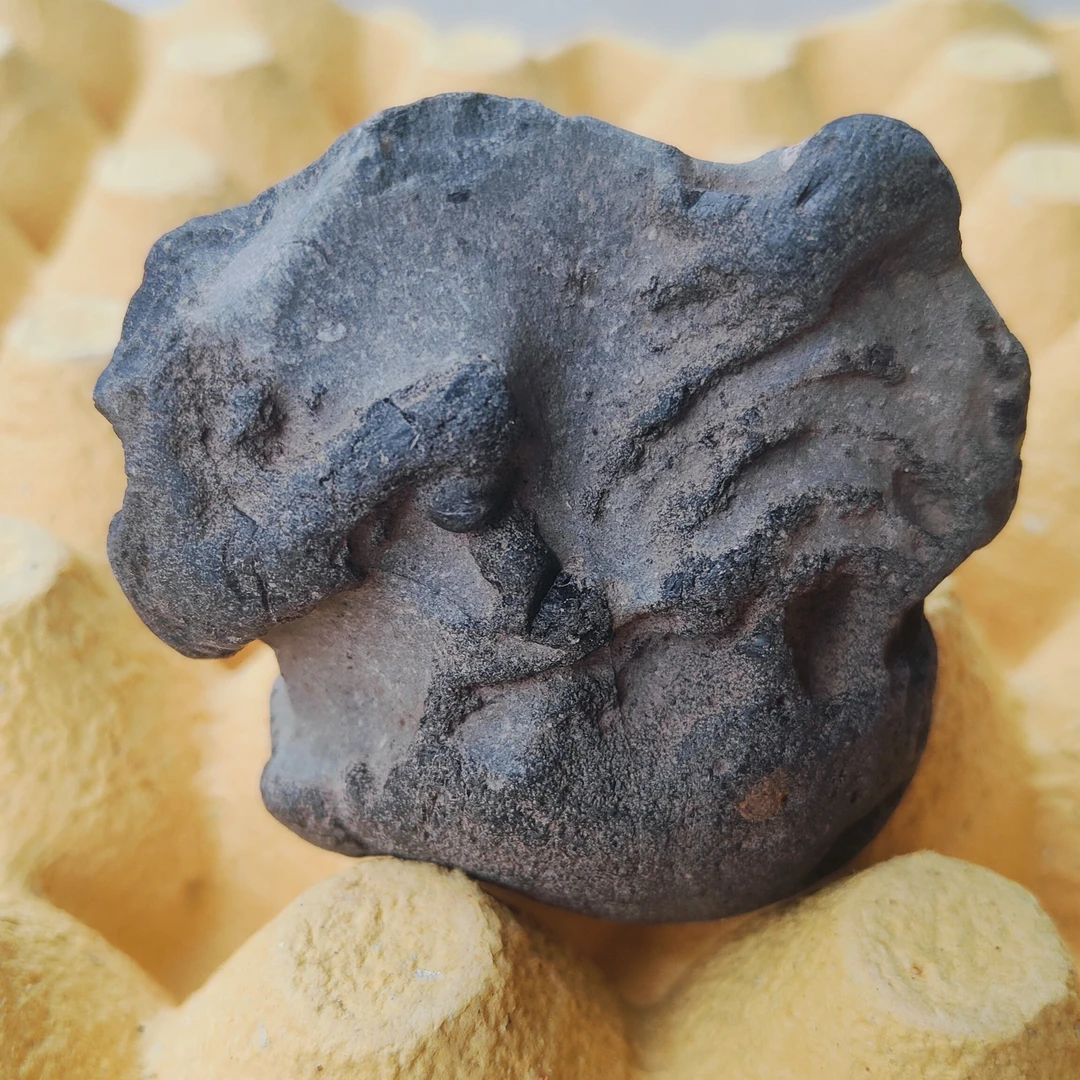 雄狮头石陨石 象形石雄狮头 天外来物 具有极高收藏及科研价值