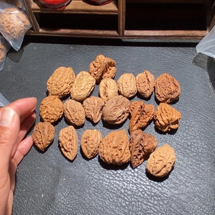 褚***壮核桃单只打包异形小籽19个
