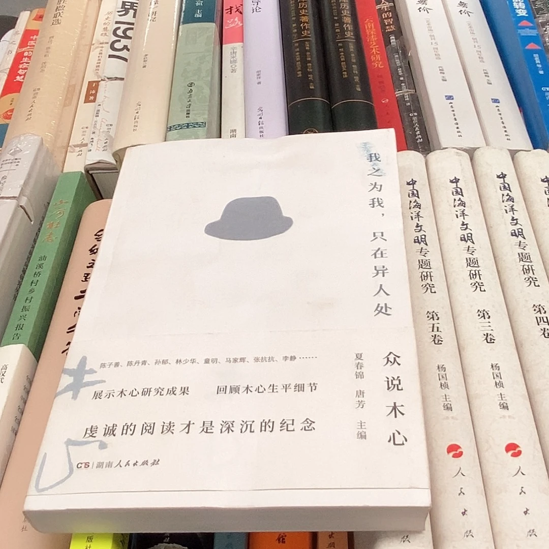 瑕疵锯口  我之为我  众说木心