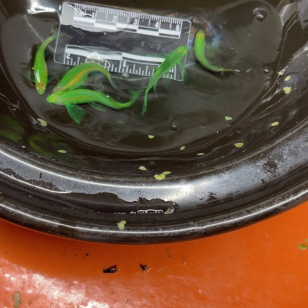 海水35号哈哈哈哈哈哈