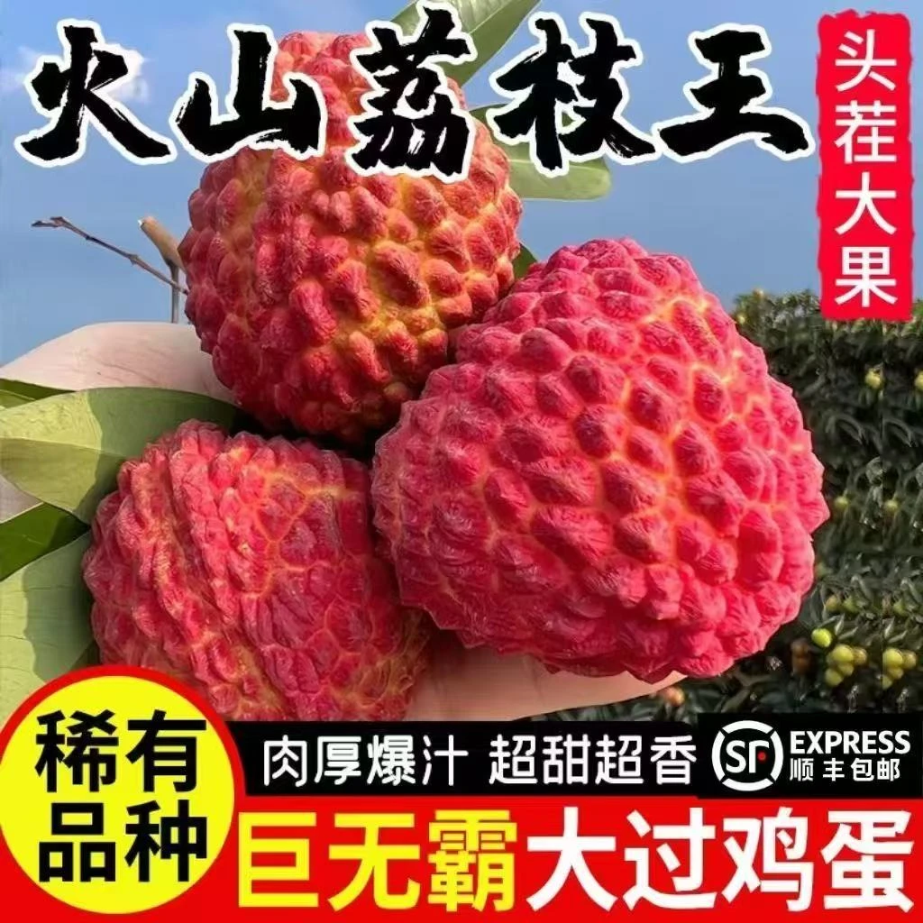 XL顺丰包邮现摘先发水果荔枝王当季水果L新鲜采摘当季水果