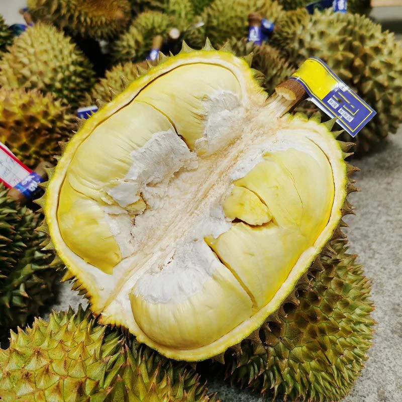 【一物一拍-川渝次日达】新鲜泰国榴莲进口金枕--核小泰国金枕榴莲泰国金枕榴莲新鲜核小2-5斤金枕泰国东部