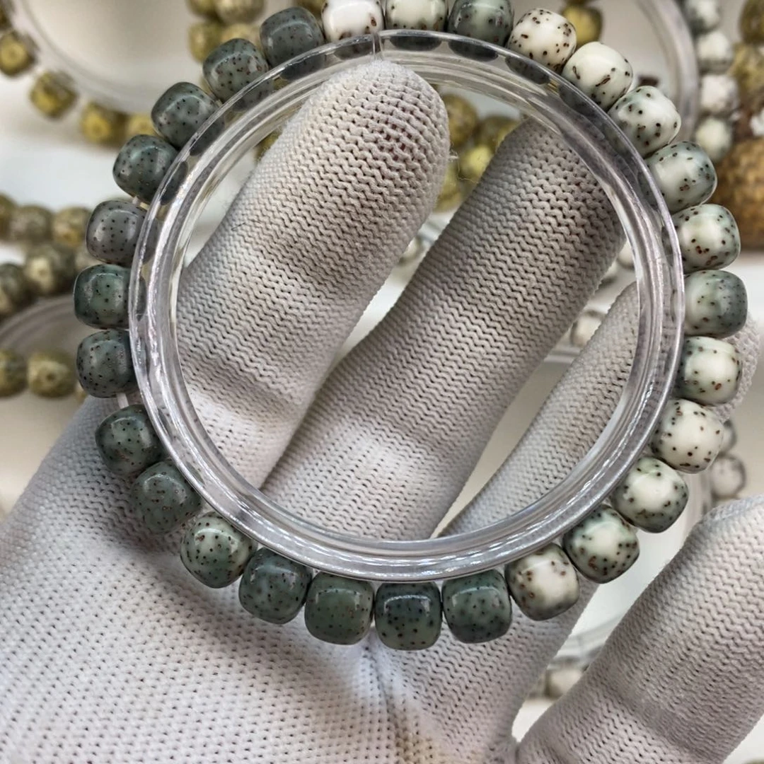 海南原生态河豚绿背