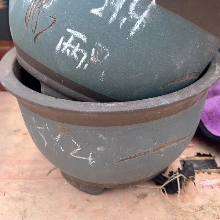 红陶紫砂碗盆口20