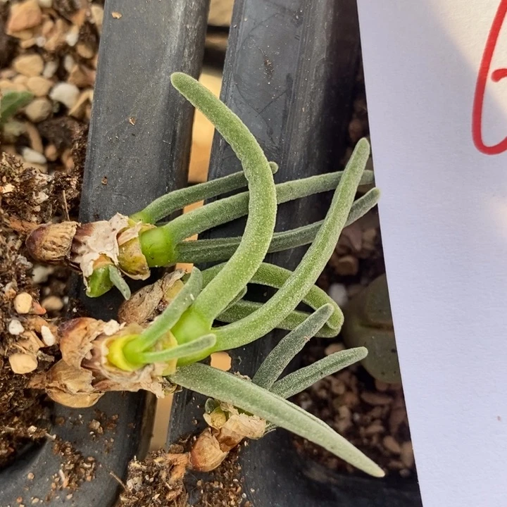 674一组一组一组