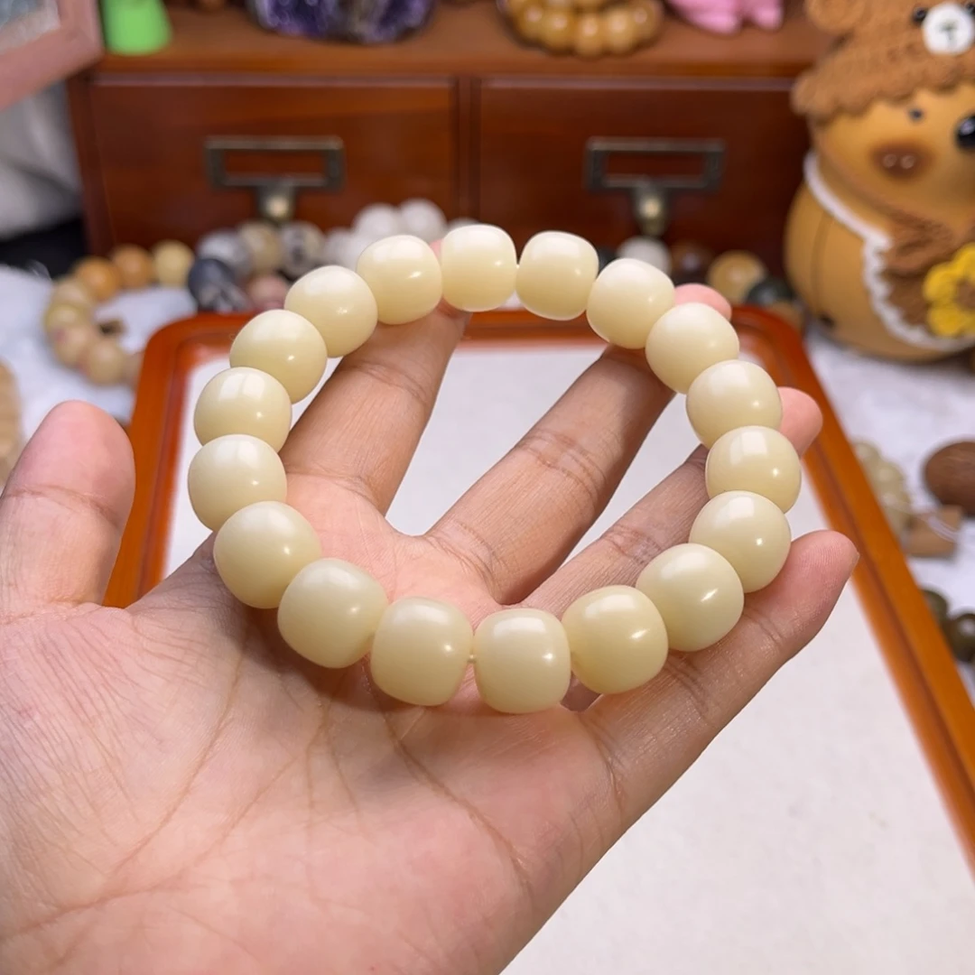 吊坠菩提根/象牙果苗*?米黄桶071
