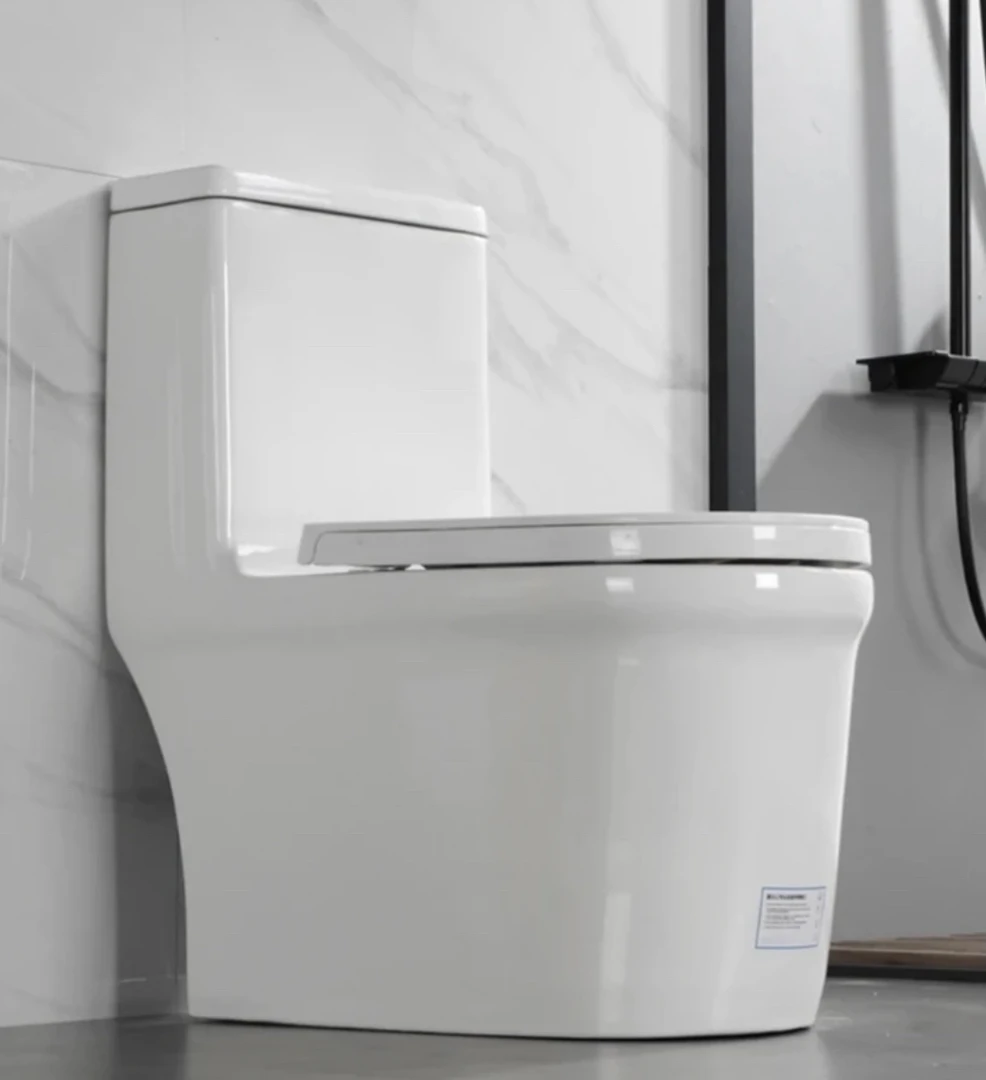 家用大口径5孔超炫式马桶防臭节水抽水坐便器卫生间适用x8011