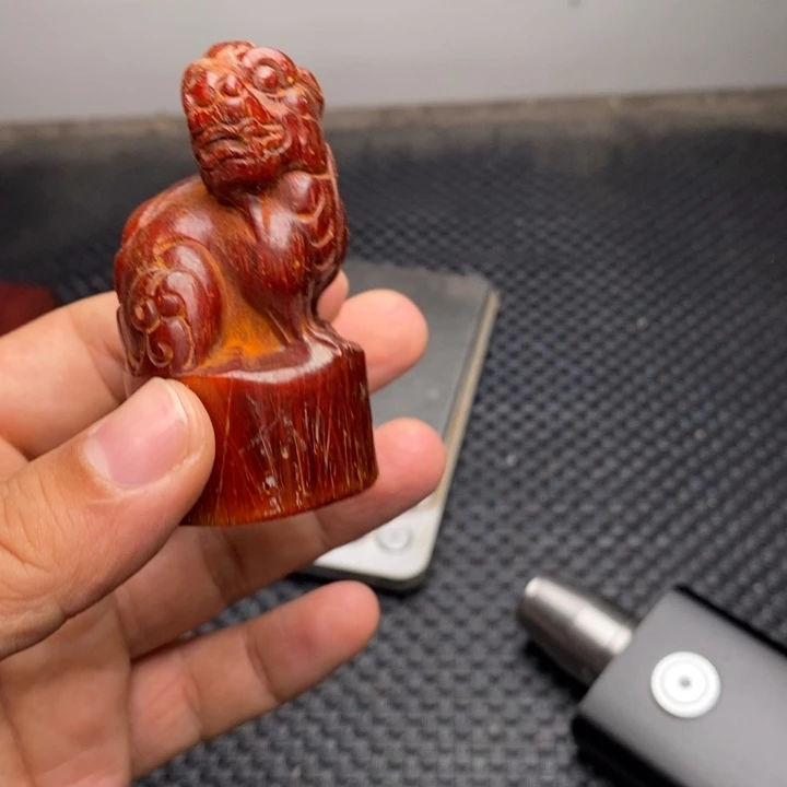 大果紫檀（缅甸花梨）