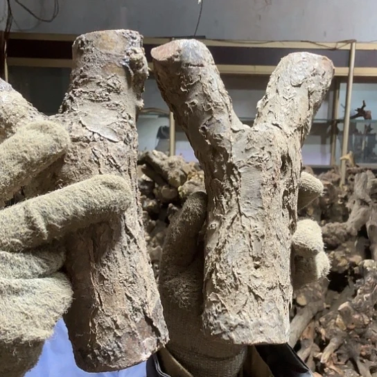 香榧木十**生火琉璃的故事毛料