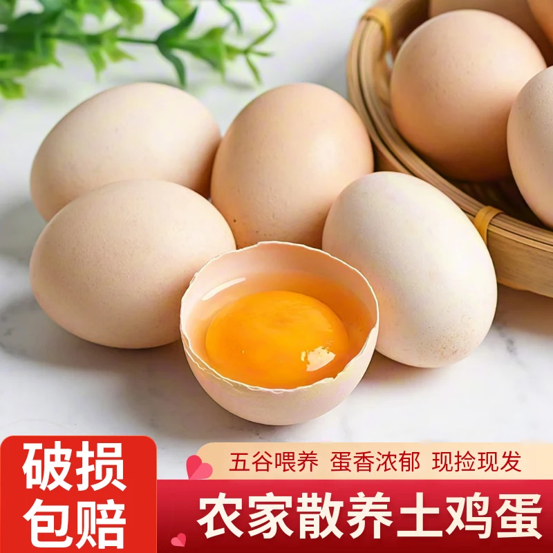 土鸡蛋新鲜健康农村山林抖音五谷喂养适合皮蛋松花蛋四川正宗皮蛋