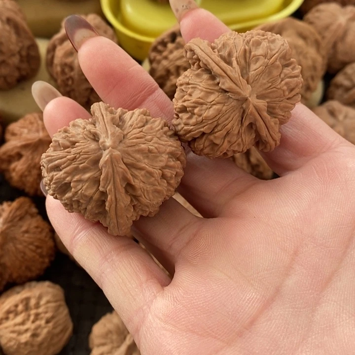 小***律38白狮子无修无修无修w x