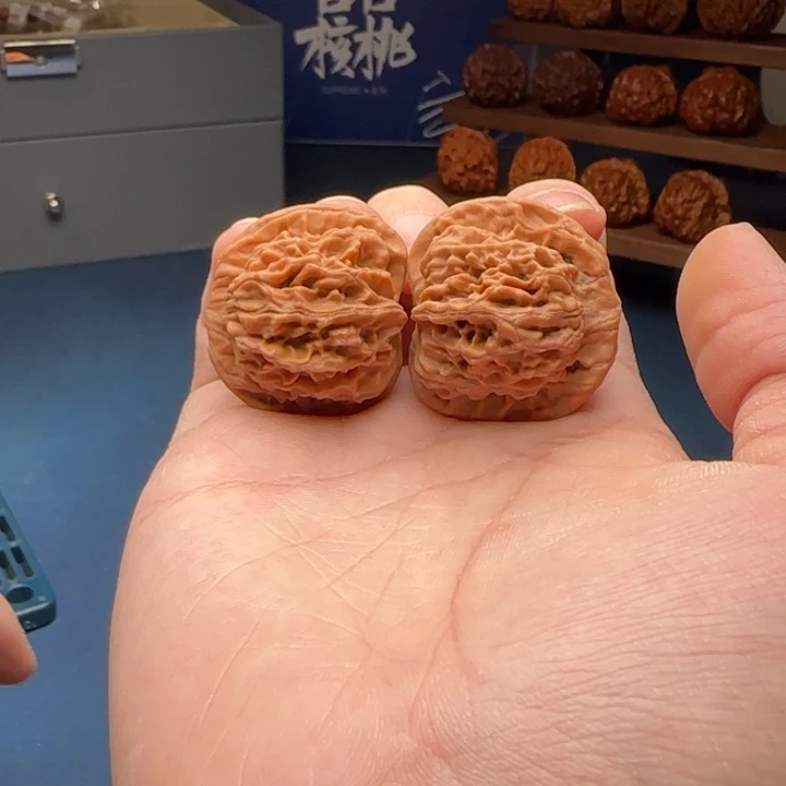 36-38-32一代天地C5号