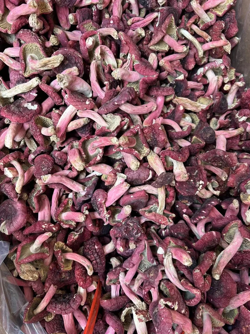 肖田红菇，正宗野生红菇，红菇干货。
