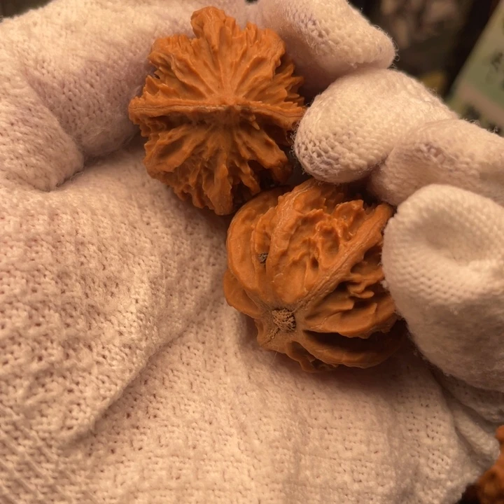 核桃秦岭野生八棱秋子