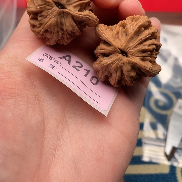 文玩核桃把件核桃