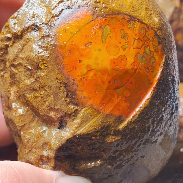 定制玛瑙乾*定制战国红玛瑙