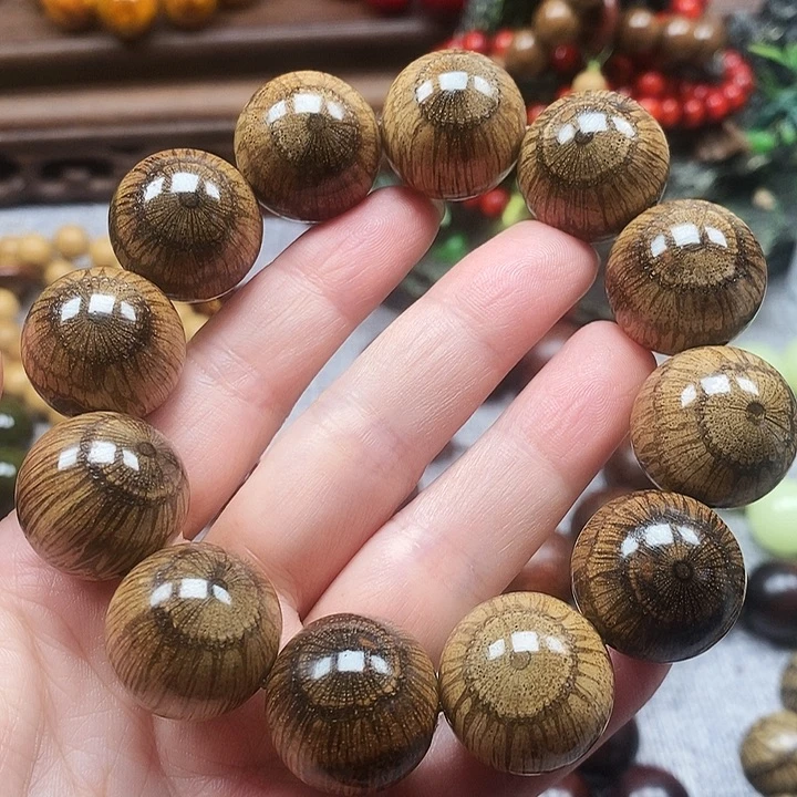 点***线其他藤类买麻藤2.0