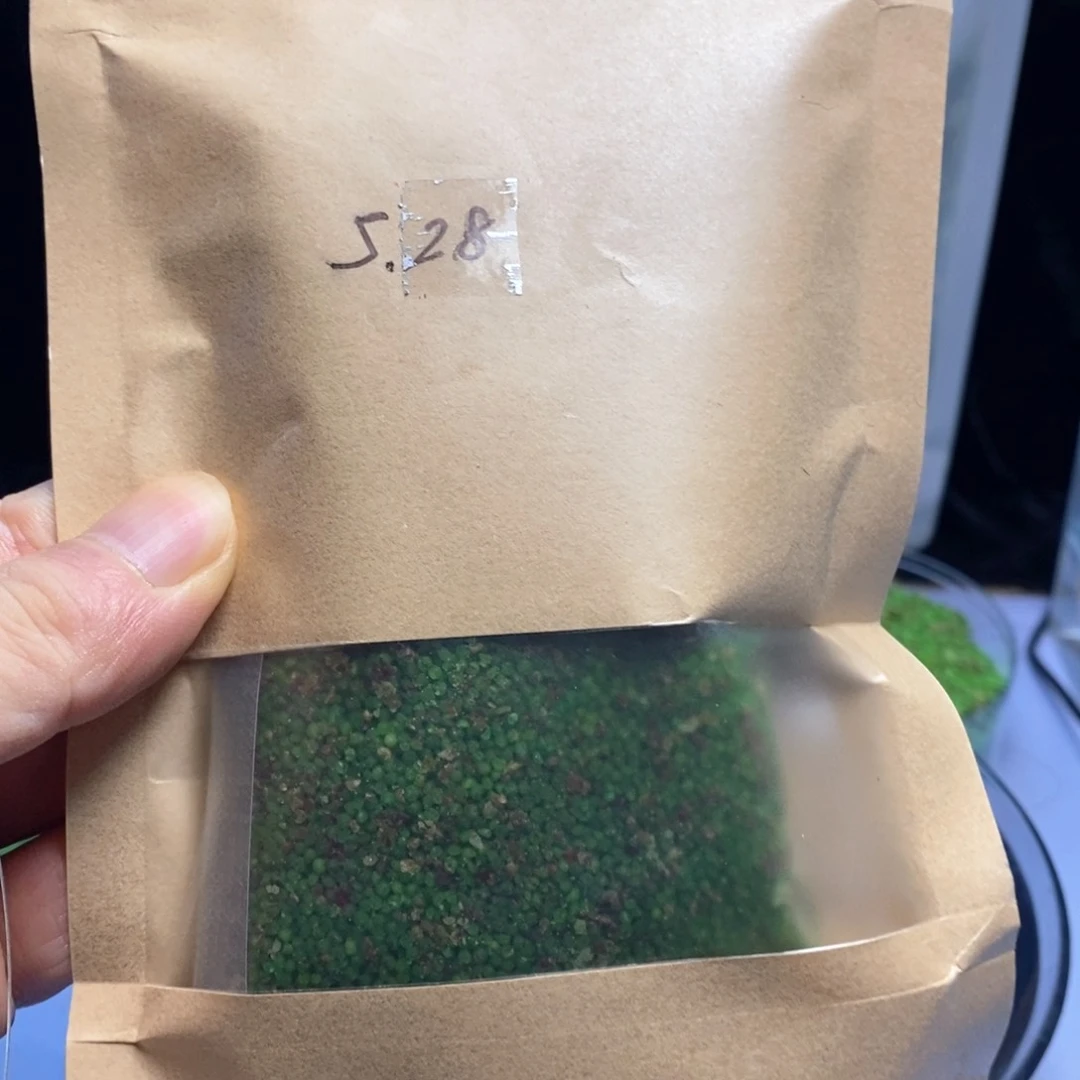 无***名果酸拉米野钓黑坑通用