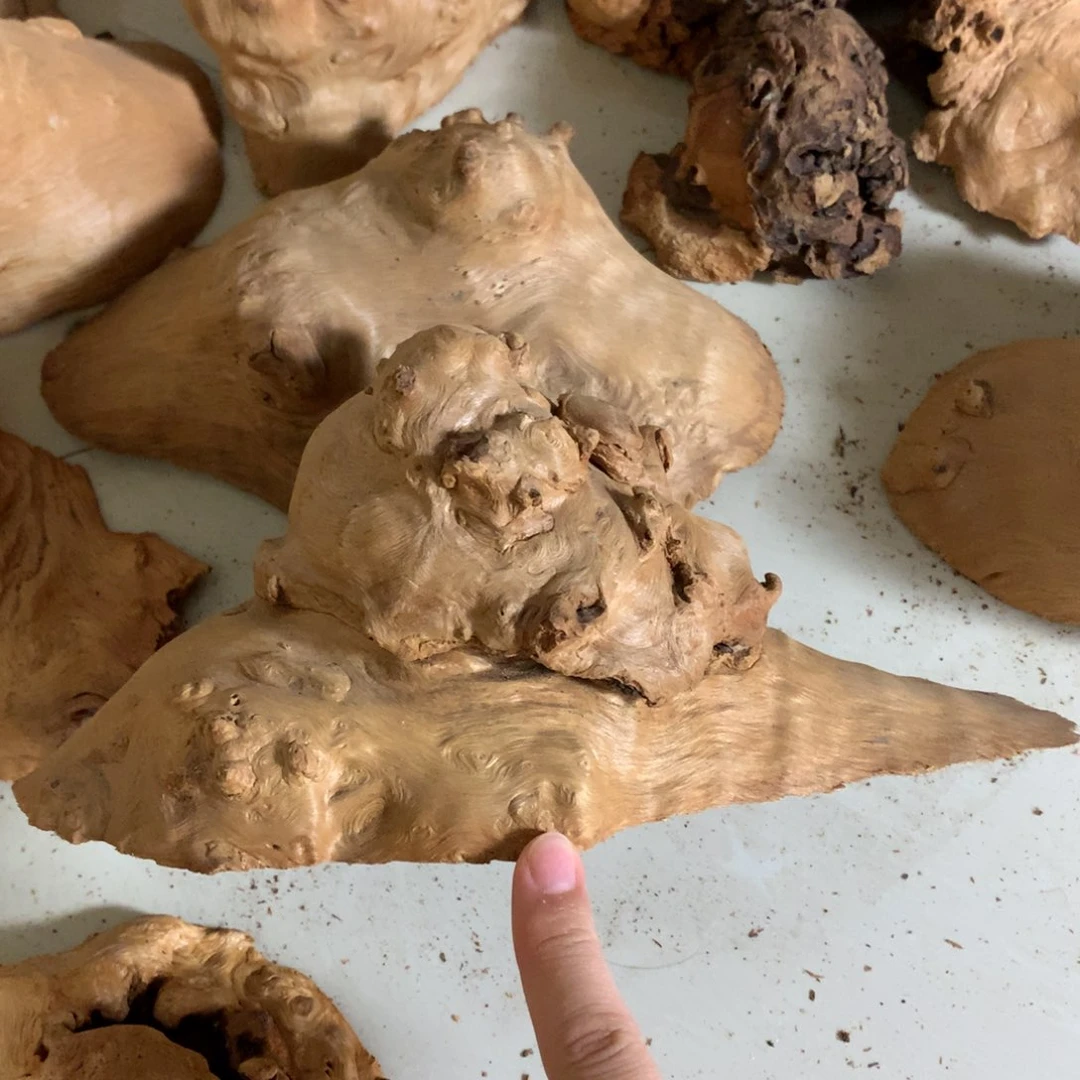 木荔枝木直播间链接