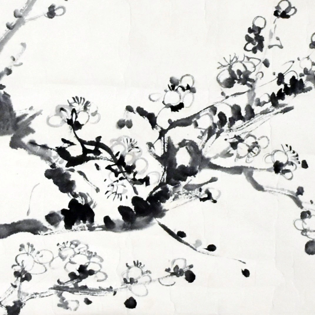 HM8555 白梅图 59×49cm 纸本镜片 2.6平尺