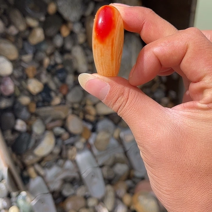 未镶嵌和田玉（糖玉）珠宝奇石