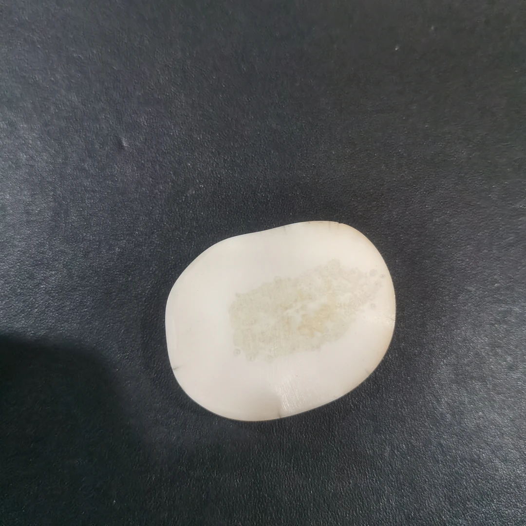 猛犸虬饼子kk692