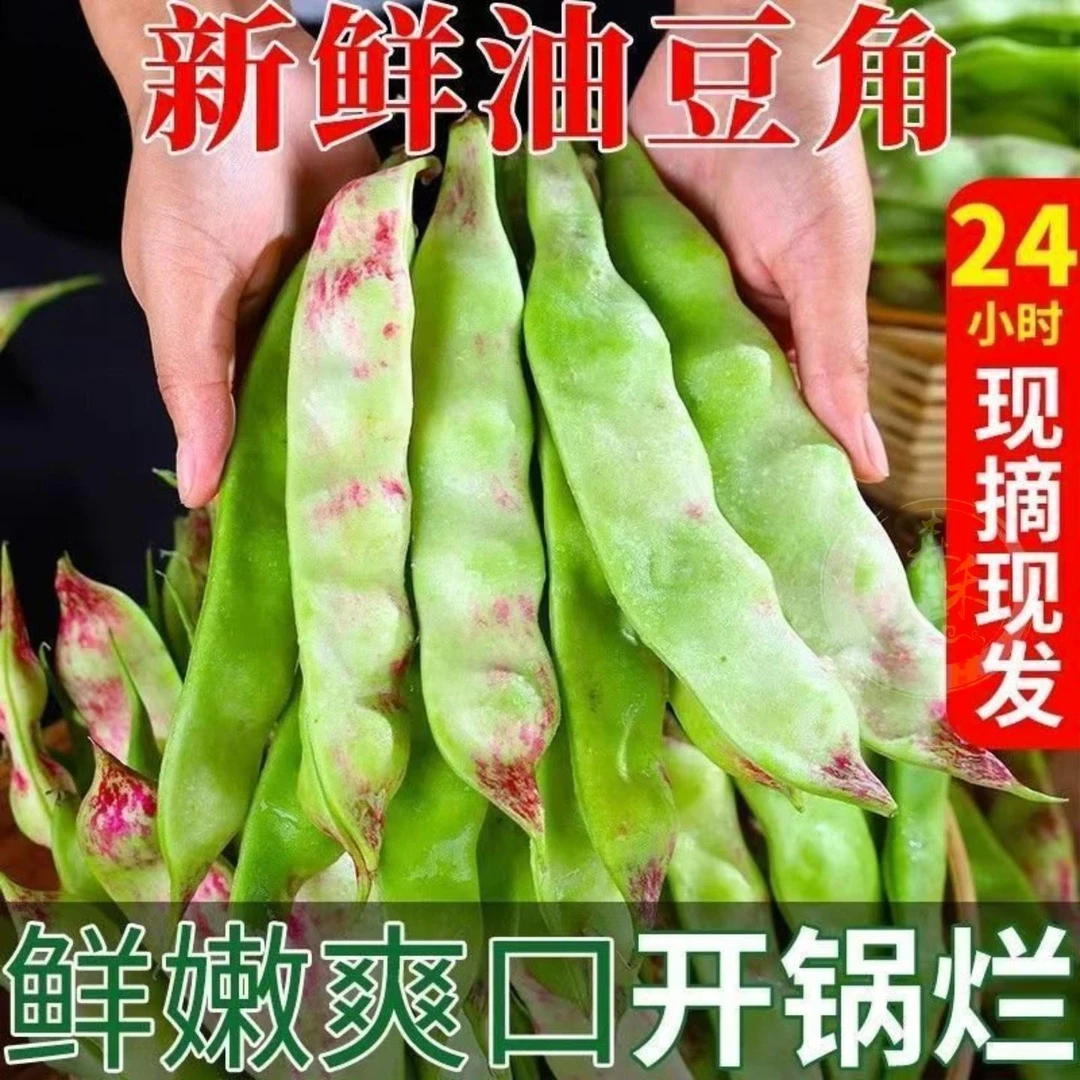 【冰袋锁鲜】2云南一点红油豆角非九月青四季豆扁豆白不老无筋豆