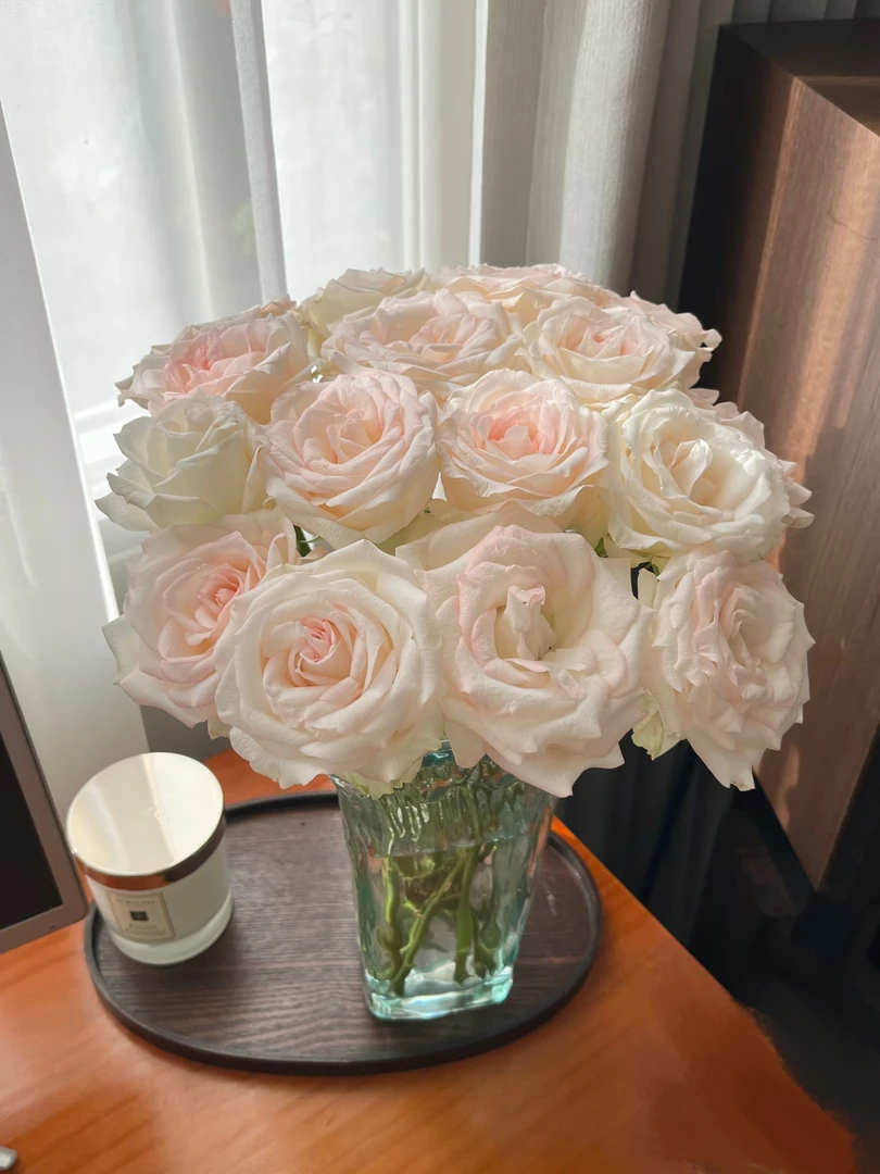 小白兔玫瑰：1单普通快递包邮，同一地址2单及以上冷链送配草。